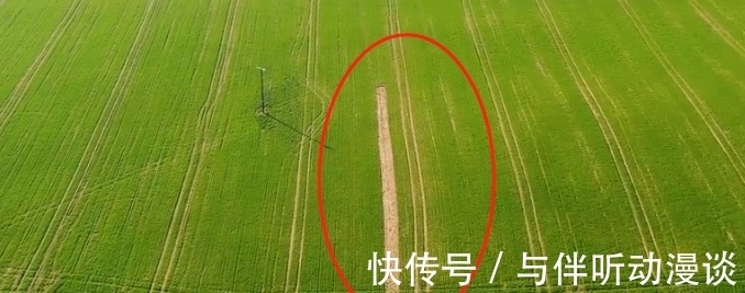 養(yǎng)羊|9.6分，這節(jié)目可把大明星虐爽了