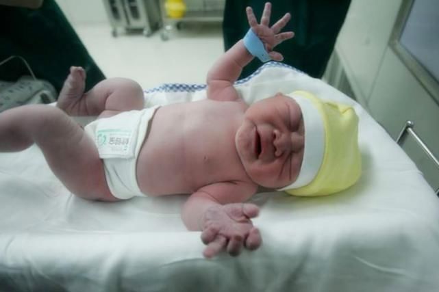 智力|新生儿身高越接近这个值,说明大脑发育得不错,爸妈可以偷着乐了