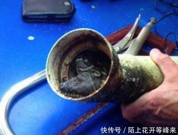 家中下水道堵塞怎么办?教你3种疏通下水道的方法,自己也能解决