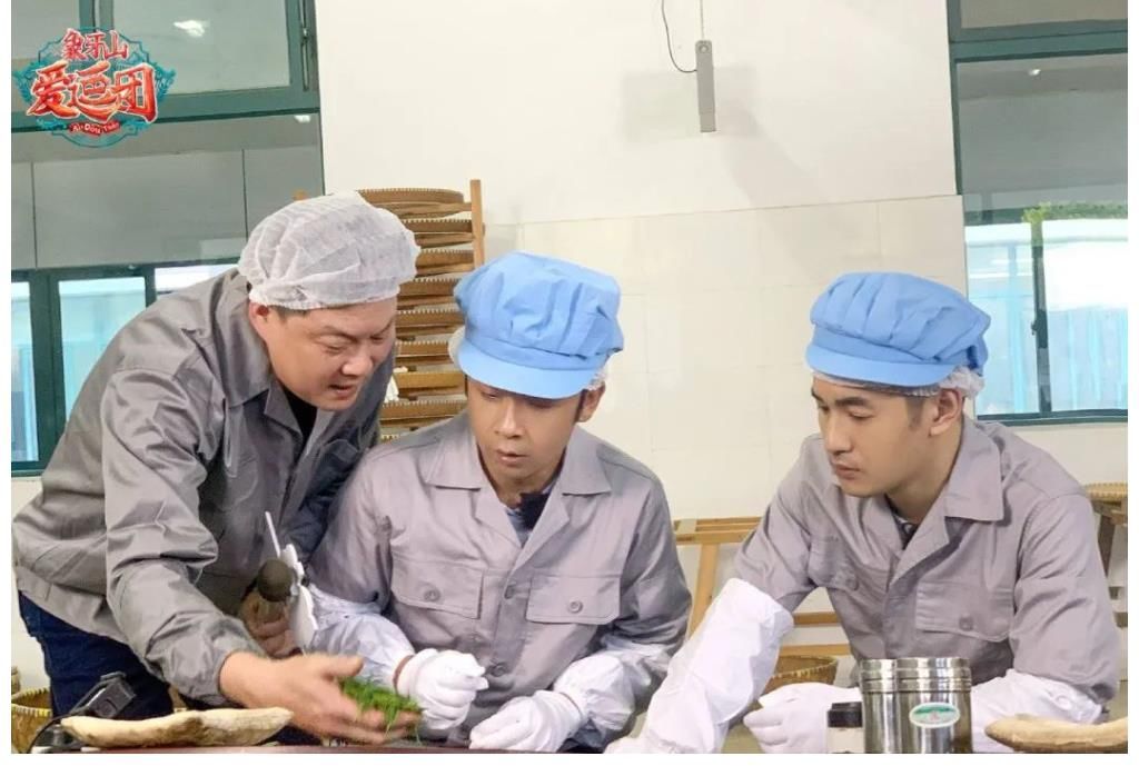 流量|接地氣也可以有大流量，《象牙山愛逗團》將喜劇寫進生活