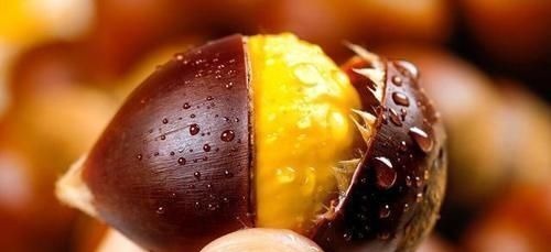 原来给板栗开口很简单,只需要多加1个瓶盖,简单快速还不伤手!