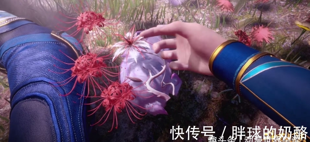 相思断肠红|斗罗大陆官微的这张图与之前的剧情相呼应,小舞和唐三结为兄妹