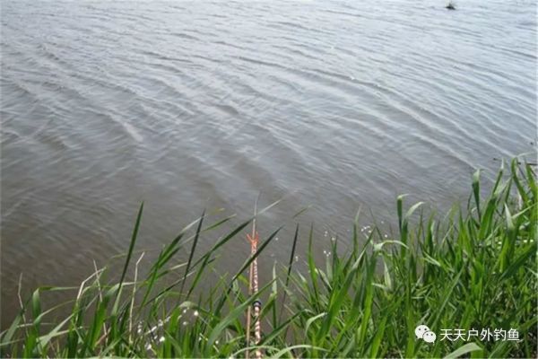 钓位|三伏天野钓，鱼情差而小鱼多，这样选择天气和钓位，小鱼会少很多