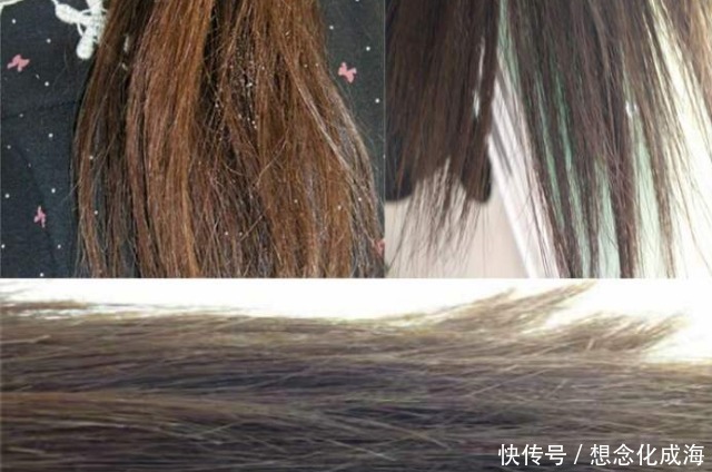 全国爱发日,如何养出健康顺滑好发质天然养发护发秘诀在此