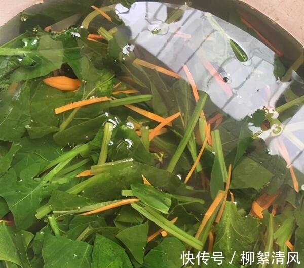 鸡蛋饼|素拌三丝的做法!