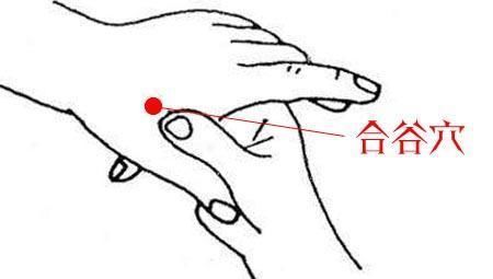 手掌上有5大穴位,平时经常刺激功效可不小,经常按摩还可以治病
