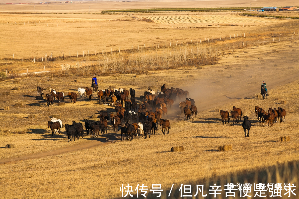 秋天|最适合带父母去的6个地方，日出云海，绝美秋色，美得一塌糊涂