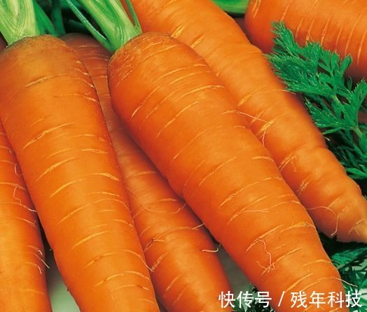 菌柄|人到中年想长寿,要坚持吃几种食物,增强体质,营养丰富