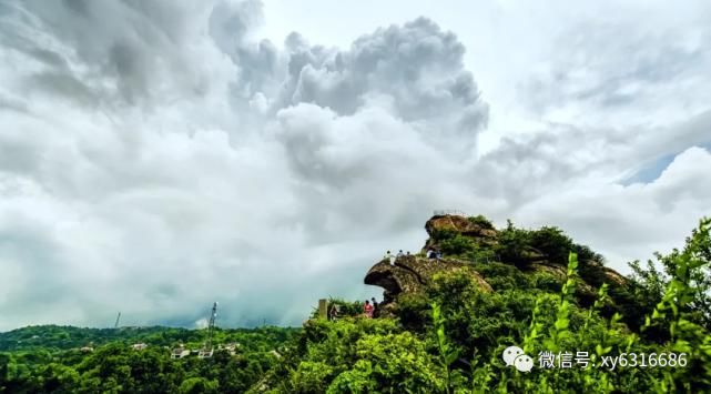 春光明媚，鸡公山风景区喜迎千人团队 踏青赏花 打卡鸡公山