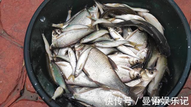 禁渔|水库禁渔一年开放垂钓，鱼情变化出乎意料！单一禁渔行动提前叫停