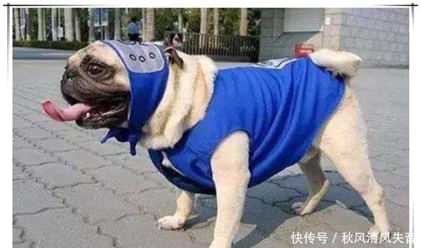 冲出次元的火影cos,宁次之死神还原,卡卡西从动画中跑出来了