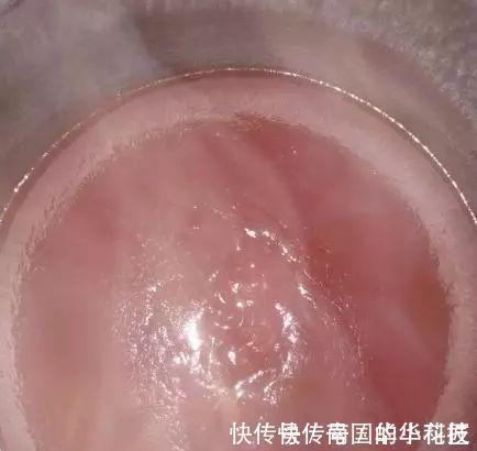 山楂|手把手教你做开胃小零食“山楂糕”,不含添加剂,孩子吃的放心!