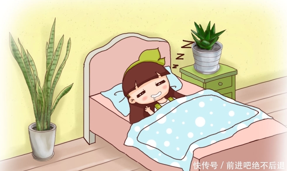 卧室养花有四禁忌,虽然看着漂亮,但是对身体不好