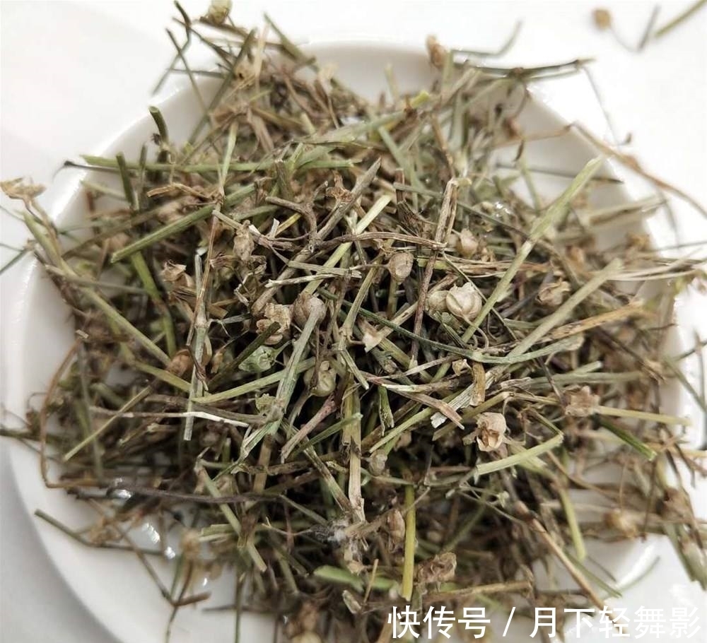 白花蛇舌草与伞房花耳草两者太像 我们该如何区分 应该这样辨认 粉紫色