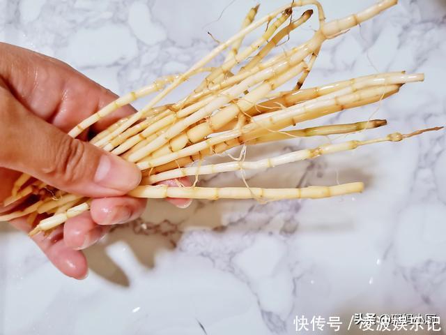 茅根和鱼腥草区别 茅根和鱼腥草区别