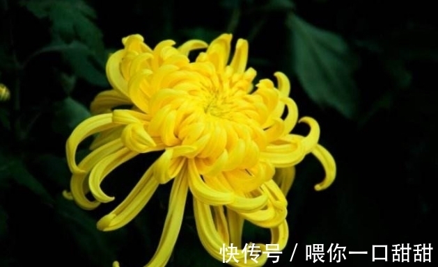 孕妇|孕妇梦到这4件事,说明会有好事发生,宝宝健康