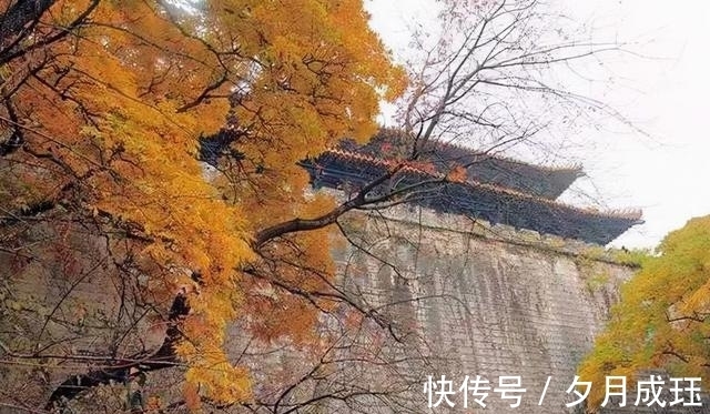 梅雨&诗路花雨｜孤山梅雨（11-15）