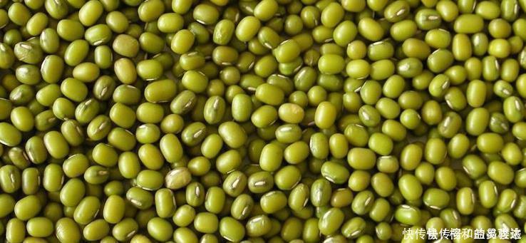 绿豆|绿豆和它天生一对每天喝1杯，排出体内湿气，快告诉身边人