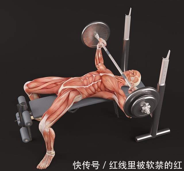 肩胛骨|几个卧推的小贴士,提升感受度,让训练效果更佳