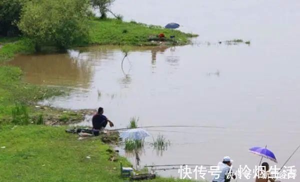 夏季|夏季钓黄颡鱼,这两种钓法很实用,钓法得当,渔获差不了