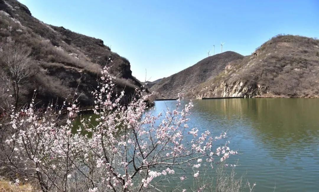 昌平花事：长峪城山花烂漫青山翠