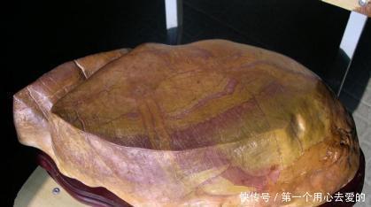 价值|升值最快的20种奇石,快看你的有没有上榜