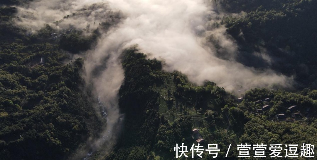 峡谷|遇见天府旅游名县｜雨城，一座宜养宜游的生态熊猫之城