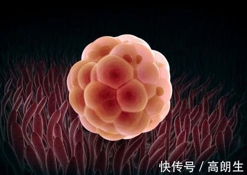 流产|怀孕1~10个月,胎儿发育变化全过程!想“修炼成人”还得过四关