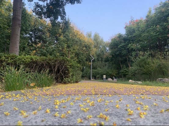 学员们$爱校园 爱美好 献礼祖国生日——第65期中青二班“我眼中的党校”随手拍比赛活动圆满结束