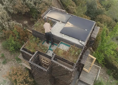 种菜|他用40棵松树,在荒山野林建起小屋,屋顶种菜生活自给自足