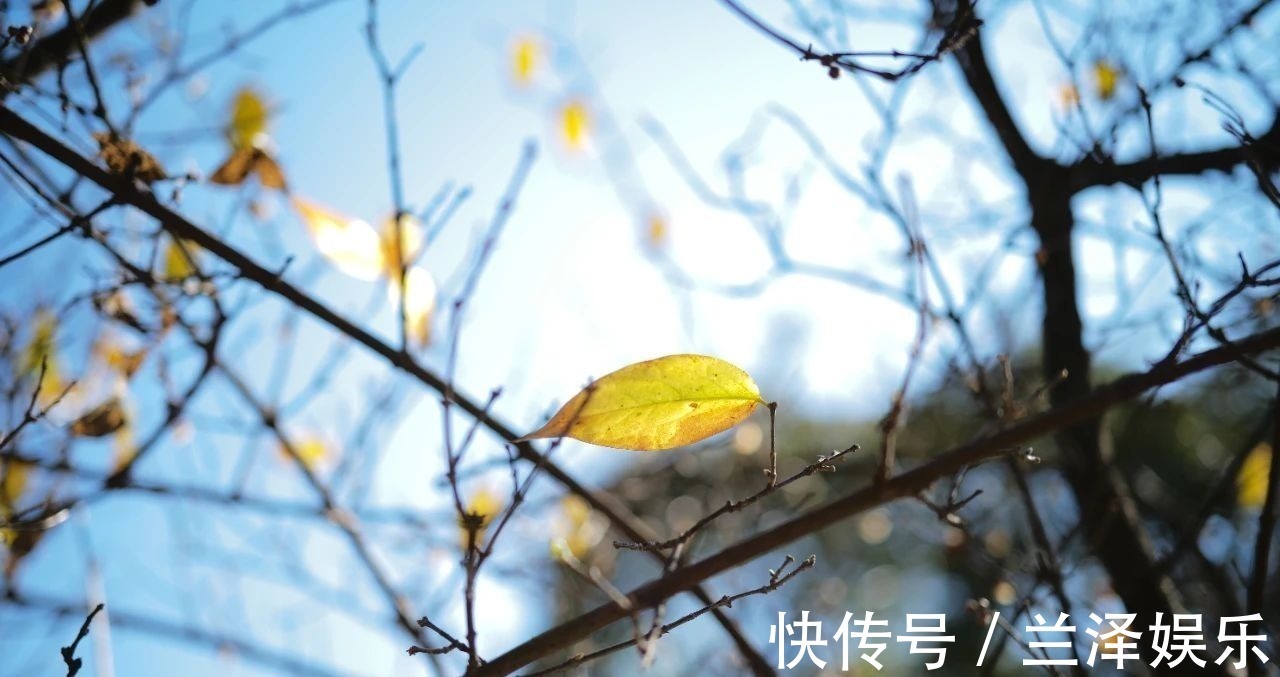 辛弃疾#好暖心的30个诗句,句句精致入心,让人相见恨晚