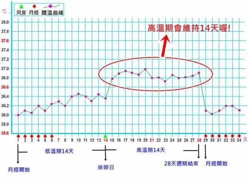 科学备孕，掌握这些排卵小知识，让宝宝来的更容易！