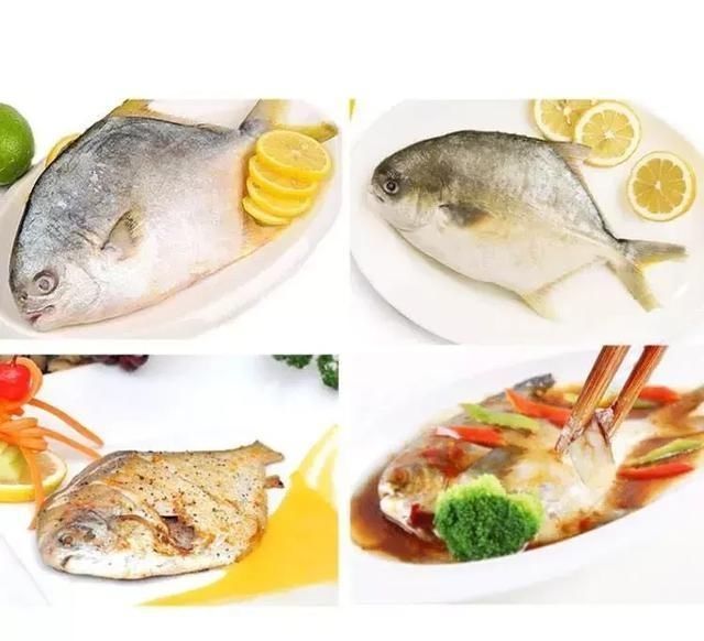 年龄段|作为一种优质鱼类,全身只有一根大刺,适合所有年龄段