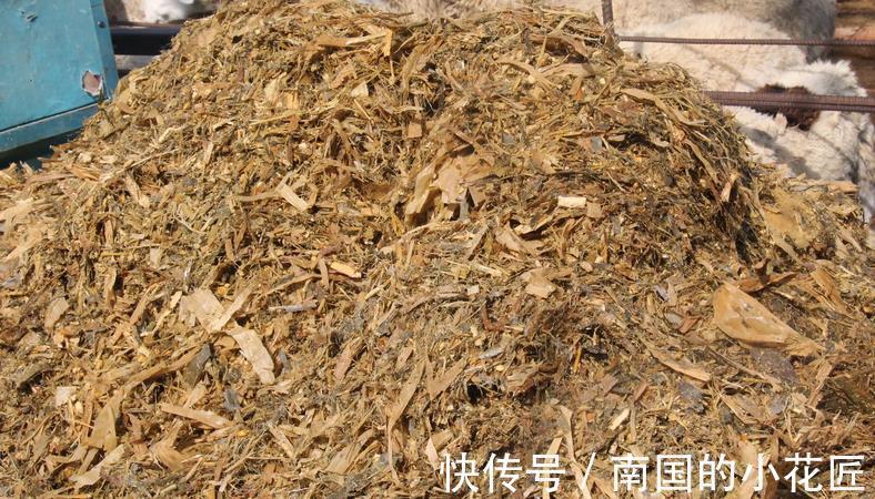 松针土|秸秆有什么用,养花有什么好处,该如何酵熟处理?