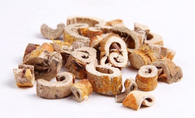 痰湿|名老中医经验方,2味药去痰,一个管肺一个管脾!把痰湿彻底清除