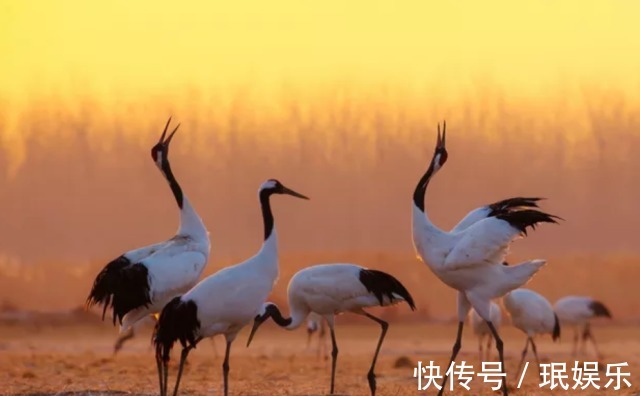 易学大师#一个人，若能悟透《易经》中的这三条“天机”，今后必成大器