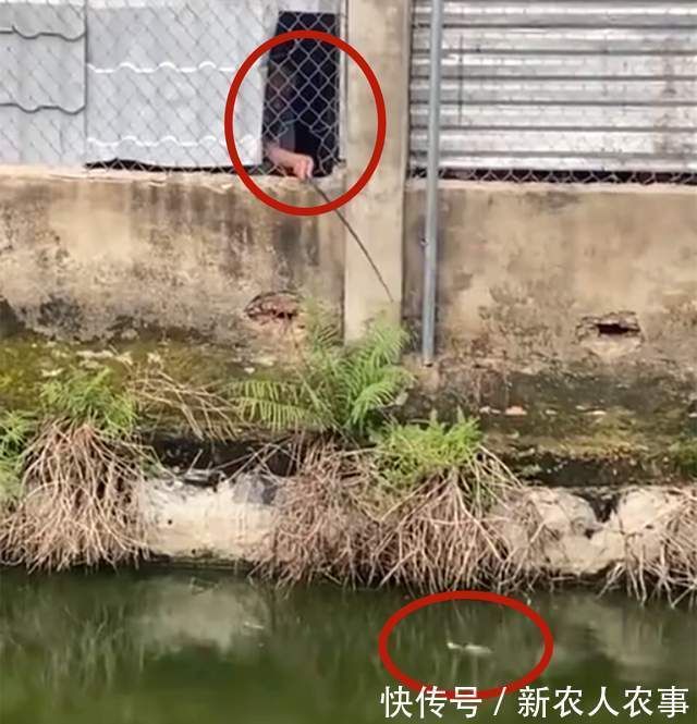 钓鱼界的天花板！四川一大爷垂钓玩出了新花样，邓刚也要让他三分