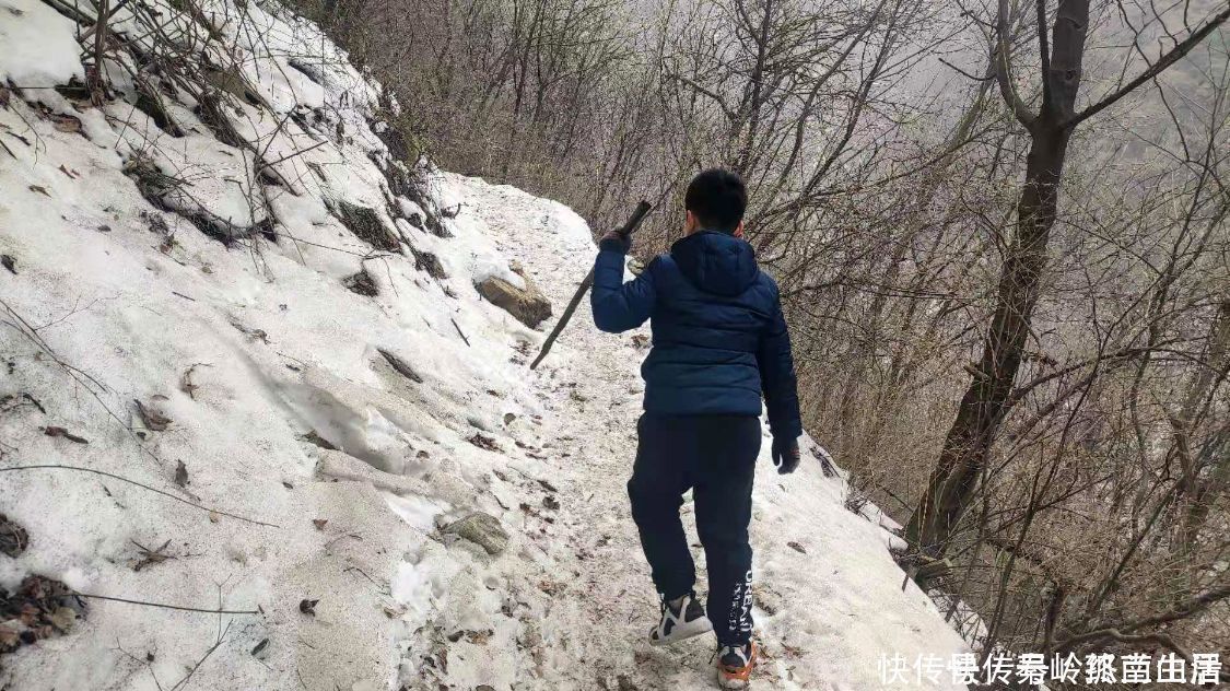 秦岭|秦岭终南山雪后爬山，偶遇神秘山洞和终南隐士，零下二十度怎么过冬？最害怕这件事