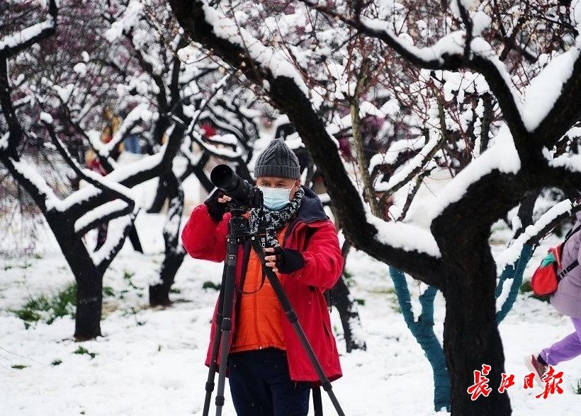 赏梅|瑞雪兆新春，梅香醉游人