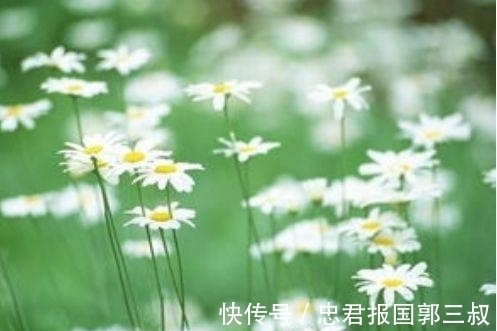 火花|未来2周起，红鸾垂爱，无奈分开，3星座旧情再泛火花，幸福回身