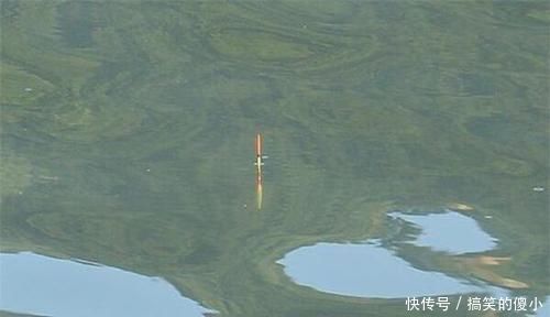 调漂|调漂可不是简单的调几钓几,牢记调漂的这个精髓,怎么调漂都准确