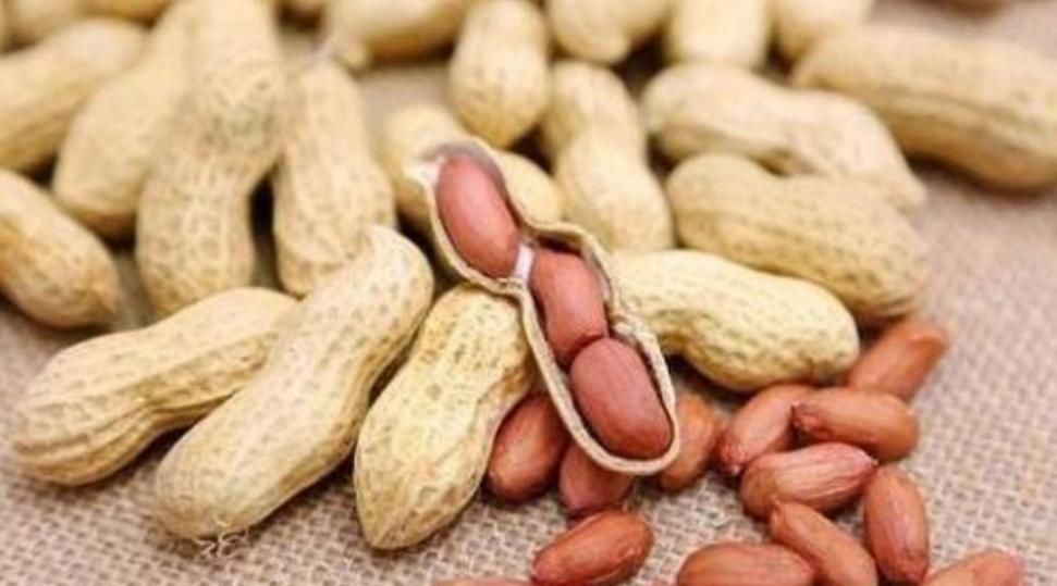 爆盆|三种东西扔了很可惜,随手一砸扔进花盆里,养啥都爆盆,美极了