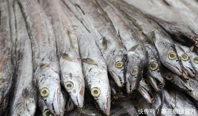好吃|明日小雪,这3种海鱼千万别错过,价格便宜又好吃,做给家人吃吧