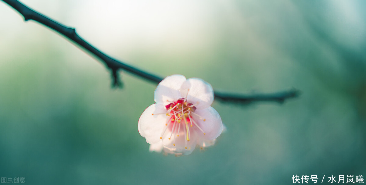 春夏秋冬@情思缱绻,碎语年华,总有一个人,止于唇齿,掩于岁月