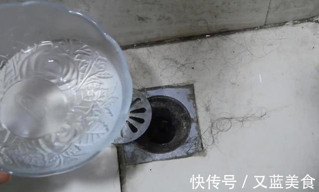 卫生间里老有小黑虫赶紧倒一碗它，异味黑虫全消灭，快告诉家人