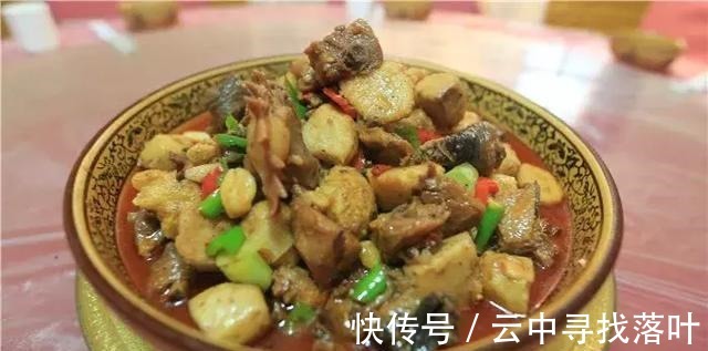 家常菜|小杨推荐两道家常菜做法，美味又下饭！