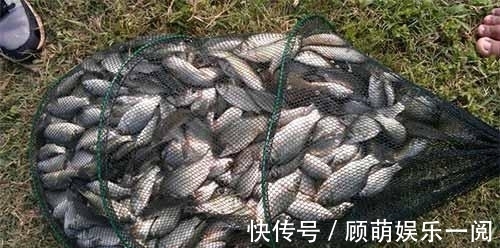 钓鲫鱼总是顶漂正常么?看完邓刚顿口调漂教学,野钓还是顶漂香