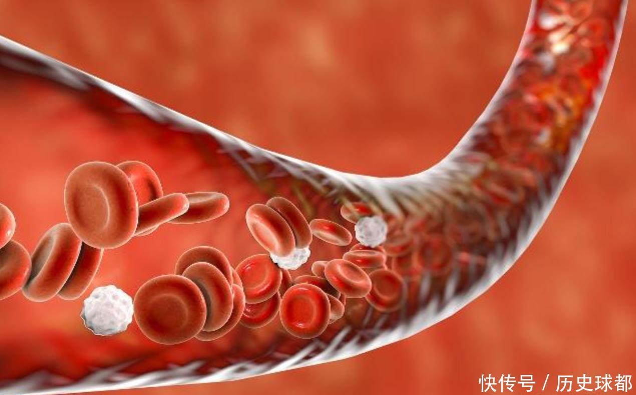 心脑血管|服用三七和丹参,对心脑血管有什么作用是“防”还是“治”