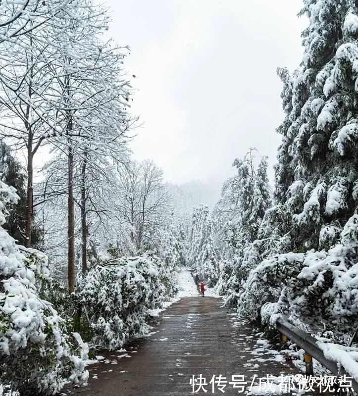 林海雪原|想看“林海雪原”，不用去东北，叙永就有