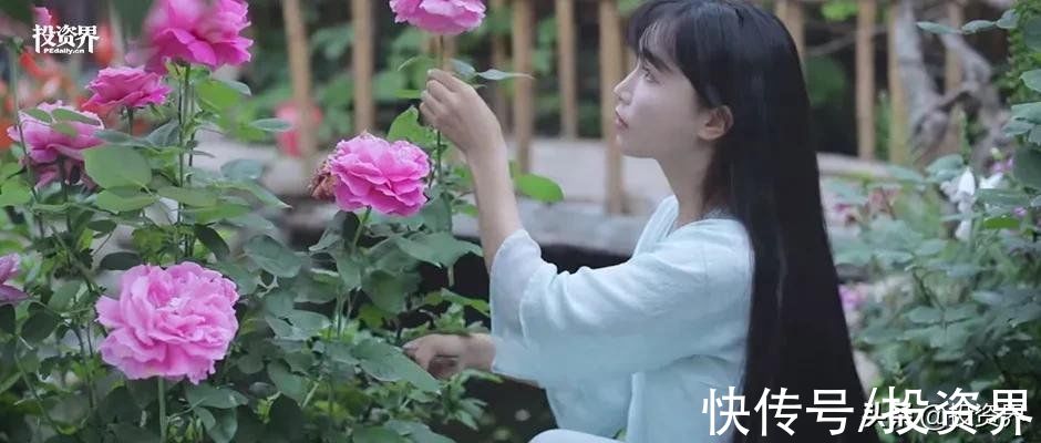 四川子柒文化传播有限公司|寻找李子柒